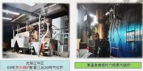 天然气之夜 | 生物质气化气的特征与市场拓展——以蒸汽锅炉应用为例