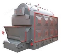 生物质蒸汽锅炉 绿色能源的未来之路